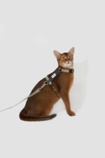 arnes-y-correa-en-forma-de-h-para-gatos-modelo-valle