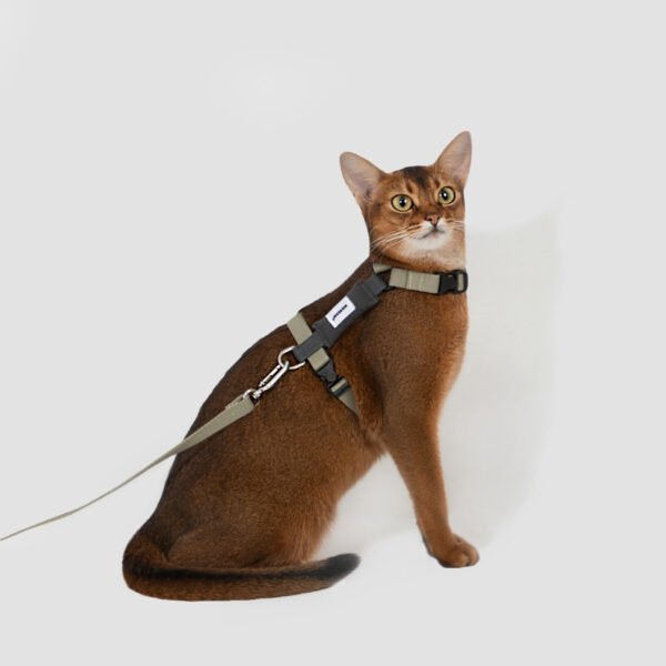 arnes-y-correa-en-forma-de-h-para-gatos-modelo-valle